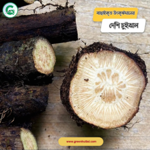 Big Size Deshi Chui Jhal 1KG